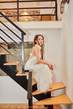 山鸡的故事高清